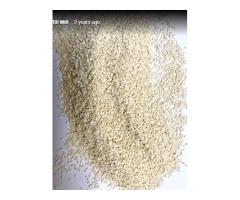 Shiva Shakti Till Mill