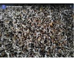 the bio care technology