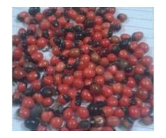 MYDEEN &SON S COUNTRY DRUGS&HERBAL MERCHANT