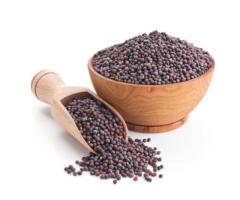 Nathubhai Cooverji And Sons