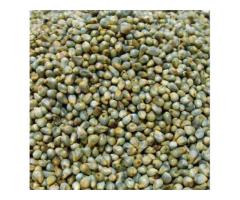 MARUTHI TRADERS & COMMISSION AGENTS