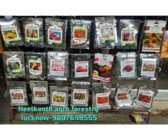 Neelkanth Agro Forestry