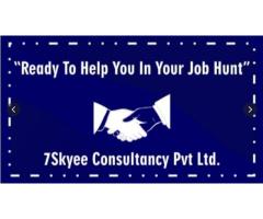 7Skyee Consultancy Pvt Ltd