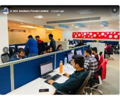 E SEO Solutions Private Limited