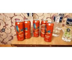 VISHAL HOLIDAY HOMES