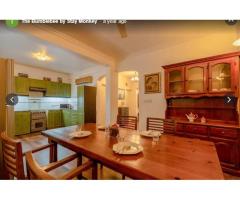 The Bumblebee by Stay Monkey