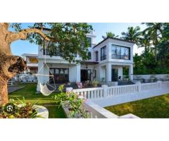 The White House Arambol