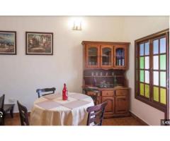 Turquoise Tree Homestays