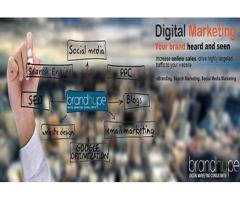 Brandhype.in - Digital Marketing  SEO  Social Media  PPC Agency in Gurgaon