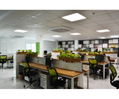 PK Online Ventures Pvt Ltd