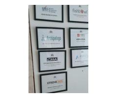 Anirup Technologies LLP | Xtreme Ads