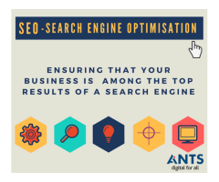 ANTS Digital Pvt. Ltd.