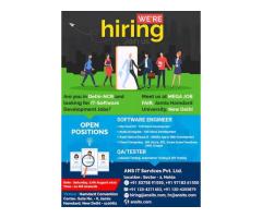 ANS IT Services Pvt. Ltd.