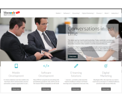 Blue Apple Technologies Pvt Ltd - eLearning Company