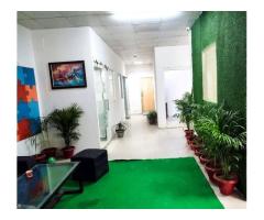 CodeCalibre | Website Designing |eCommerce Development Company | Mobile App Development Company