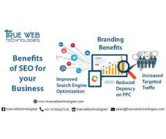 True Web Technologies - Digital Marketing Agency in Noida - NCR  India