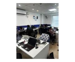 Digital Kong - Digital Marketing Company In Delhi NCR