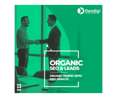 Oendigi - Digital Marketing Agency in Noida  India