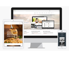 Numerique Diginautix Pvt ltd - Website and Digital Marketing company in Noida  Delhi