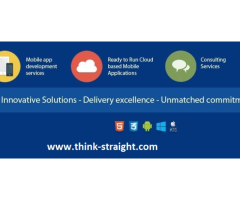 Think Straight IT LLP - Software/IT Company in Noida