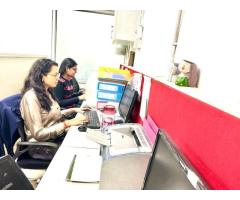 Bizhawkz IT Solution Pvt Ltd.