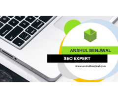 SEO Expert In India | SEO Consultant In India | Anshul Benjwal