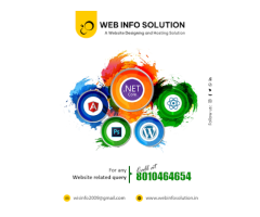 Web Info Solution