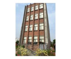 Brew Media - Branding  Digital & Performance Marketing Company