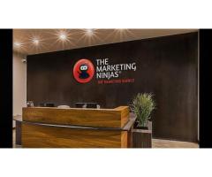The Marketing Ninjas
