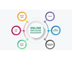 Sunny Maurya - (ORM) Online Reputation Management Services India