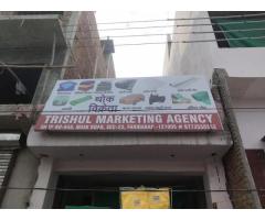 Trishul Marketing Agency