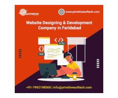 Primitive Softech - Best Website Designing Web Development Company in Faridabad