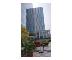 Digital Growth India-web development company in Noida