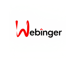 Webinger - Best Web Designing & Digital Marketing Company