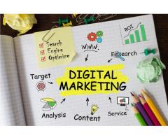 Viral Wave Media Pvt Ltd. Best web design company in Delhi.