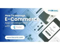 Custom Software Development Company (ITECONIC)