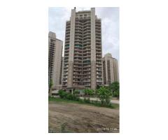 Seema Culture  Digital Marketing Company