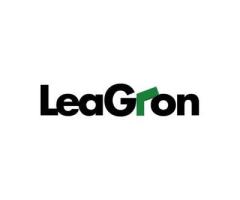 LeaGron Digital Agency