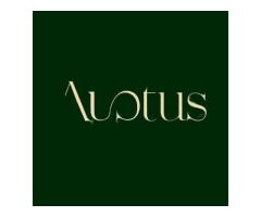 Auctus Media and Entertainment