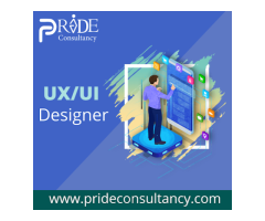 Pride Consultancy Services - website design company and digital marketing agency in India