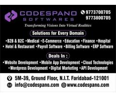 Codespano Softwares