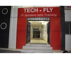 Tech Fly IT solution & development