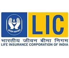 Lic office (Dhanlaxmi infosoft and consultancy)