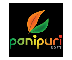 Mirror ERP - PaniPuri Soft Limited