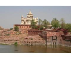 Bishnoi Village Safari Day Tours