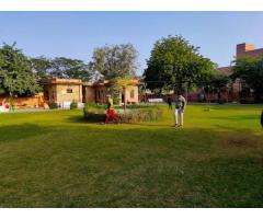 Gangaur Udhyan Nehru Park