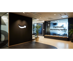 DigiAladdin Marketing Agency