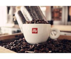 Divine (Google Partners) Social Media I Digital Marketing