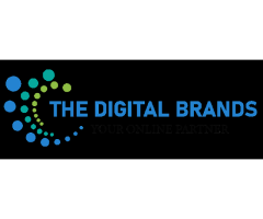 The Digital Brands - Best SEO Company  Digital Marketing Agency in Gurgaon  Delhi NCR