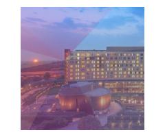 Curvearro Gurugram | Leading Digital Marketing Company